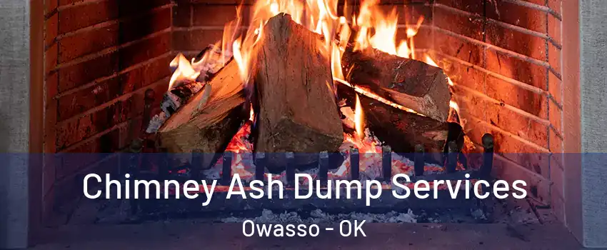  Chimney Ash Dump Services Owasso - OK
