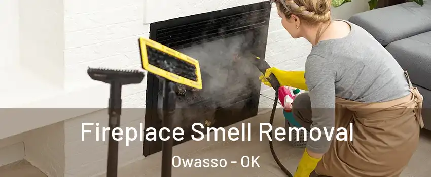  Fireplace Smell Removal Owasso - OK