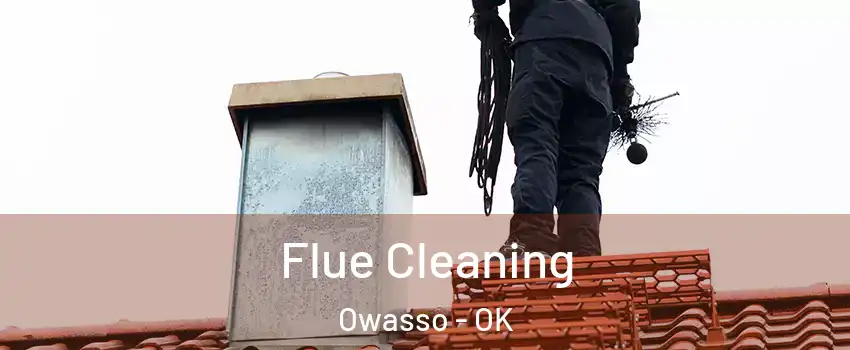  Flue Cleaning Owasso - OK