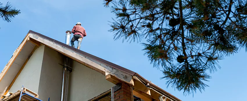 Birds Removal Contractors from Chimney in Owasso, OK
