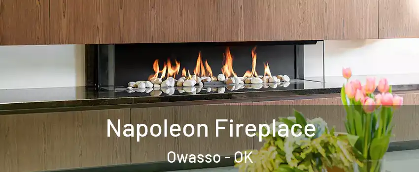  Napoleon Fireplace Owasso - OK